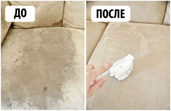 Как убрать плесень с дивана